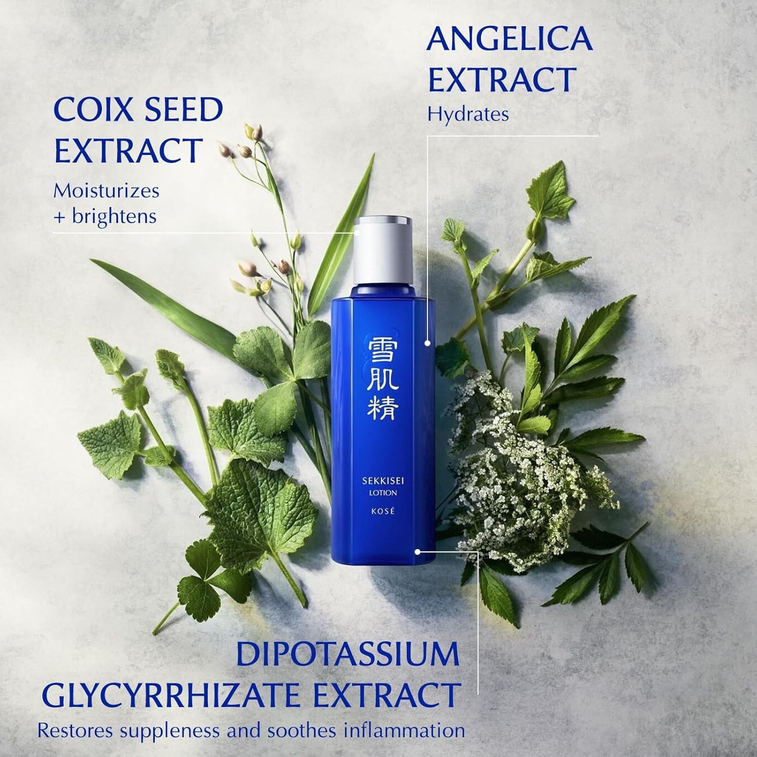 Amazon.com : SEKKISEI Lotion Enriched, Liquid Toner & Hydrating